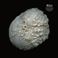 Jfdr - Brazil vinyl cover