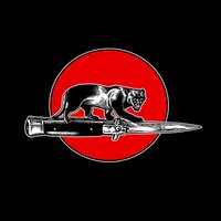 Jim Jones All Stars - CAT FIGHT vinyl cover