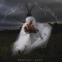 Jim White - Precious Bane vinyl cover