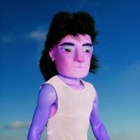 Jimena Amarillo - Mientras Ando vinyl cover