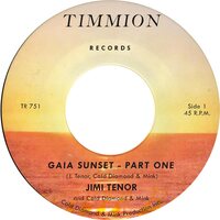 Jimi Tenor & Cold Diamond & Mink - GAIA SUNSET vinyl cover