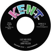 Jimmy Nelson - I Sat & Cried vinyl cover