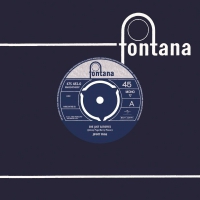 Jimmy Page - She Just Satisfies vinyl cover