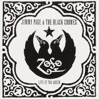 Jimmy Page & The Black Crowes - Live at the Greek vinyl cover