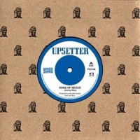 Jimmy / Perry,lee Riley - Sons Of Negus / Stay Dread vinyl cover