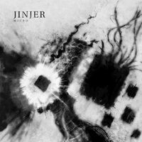 Jinjer - Micro vinyl cover