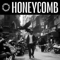 Jitwam - Honeycomb