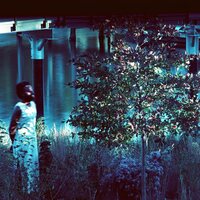 Jjjjjerome Ellis - Vesper Sparrow vinyl cover