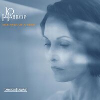 Jo Harrop - The Path Of A Tear vinyl cover