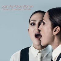 Joan as Police Woman - Lemons, Limes and Orchids vinyl cover
