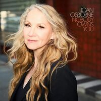 Joan Osborne - Nobody Owns You vinyl cover