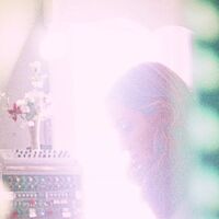 Joan Shelley - Ginko vinyl cover