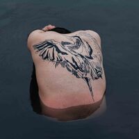 Jodi - Blue Heron vinyl cover