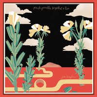 Joe Kaplow - Posh Poodle Krystal and Toe vinyl cover