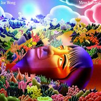 Joe Wong - Mere Survival  vinyl cover