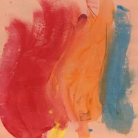 Joel Andrews - Paradise Bird vinyl cover