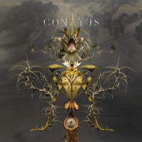 Joep Beving - Conatus vinyl cover