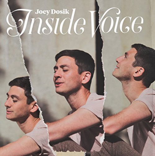 Joey Dosik - Inside Voice Stone | Upcoming Vinyl (August 24, 2018)