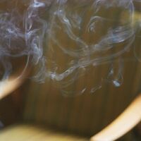 Johanna Orellana - Las Camelias, Tres Esquinas vinyl cover