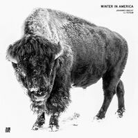Johannes Brecht /  Fetsum - Winter In America vinyl cover
