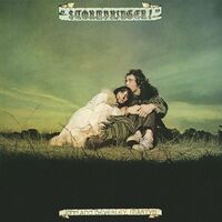John & Beverley Martyn - Stormbringer! - 180Gm vinyl cover