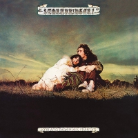 John & Beverley Martyn - Stormbringer vinyl cover