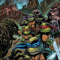 John Duprex - Teenage Mutant Ninja Turtles II: Secret Of The Ooze vinyl cover