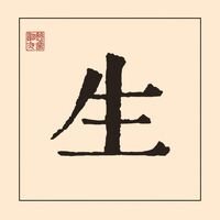 John Mayer - Sei vinyl cover