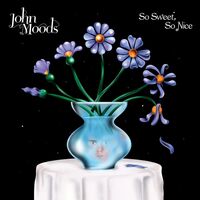 John Moods - So Sweet So Nice vinyl cover