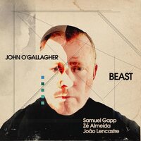 John O'Gallagher - Beast vinyl cover