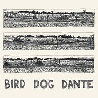 John Parish - Bird Dog Dante vinyl cover