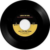 Johnny Hernandez /  Black Pumas  / Kam Franklin - Ain't No Big Thing / Look At My Soul vinyl cover