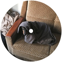 Johnny & The Triads Lumiere - Bagman vinyl cover