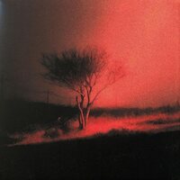 Joji - Piss In The Wind vinyl cover