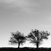 Jon Allen - A Heightened Sense Of Everything vinyl cover