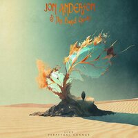 Jon Anderson - Live - Perpetual Change vinyl cover