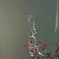 Jon Dale - Last Blues vinyl cover