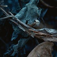 Jonas Monoloc / Landwehr - Styx vinyl cover