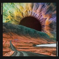 JONATHAN ROY - LIFE DISTORTIONS vinyl cover