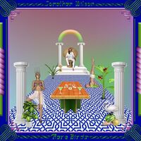 Jonathan Wilson - Rare Birds vinyl cover