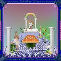 Jonathan Wilson - Rare Birds vinyl cover