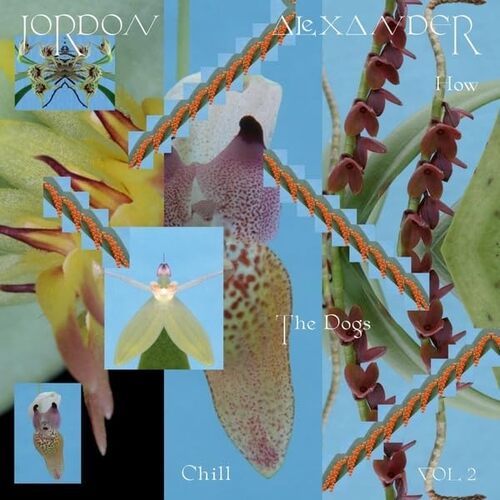 Jordon Alexander - How The Dogs Chill, Vol. 2 vinyl cover