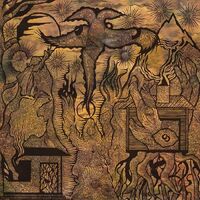 Jordsjø - Salighet (Transparent) vinyl cover