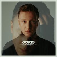 Joris - Willkommen Goodbye vinyl cover