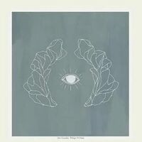 José González - Vestiges & Claws vinyl cover