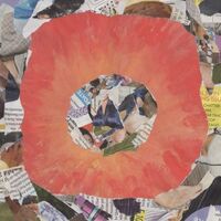 Joseph Allred - The True Light vinyl cover