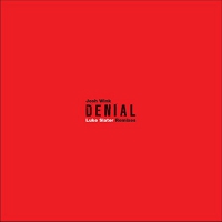 Josh Wink - Denial vinyl cover