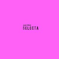 Josh Wink - Selecta vinyl cover