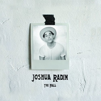 Joshua Radin - Fall vinyl cover