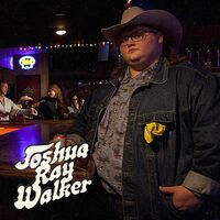 Joshua Ray Walker - Wish You Were Here vinyl cover